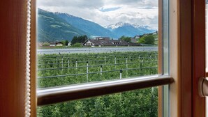 Une vue sur un vignoble depuis une fenêtre, avec des montagnes en arrière-plan.