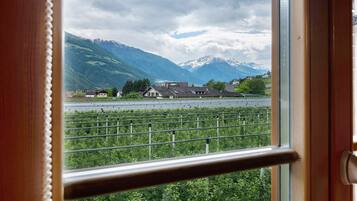 A window view of a vineyard with mountains in the background.