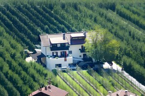 A modern two-story house with a sloped roof, surrounded by lush greenery and a vineyard. - Apartment 'Stark Groß' with Mountain View, Shared Terrace and Wi-Fi (Ciardes)