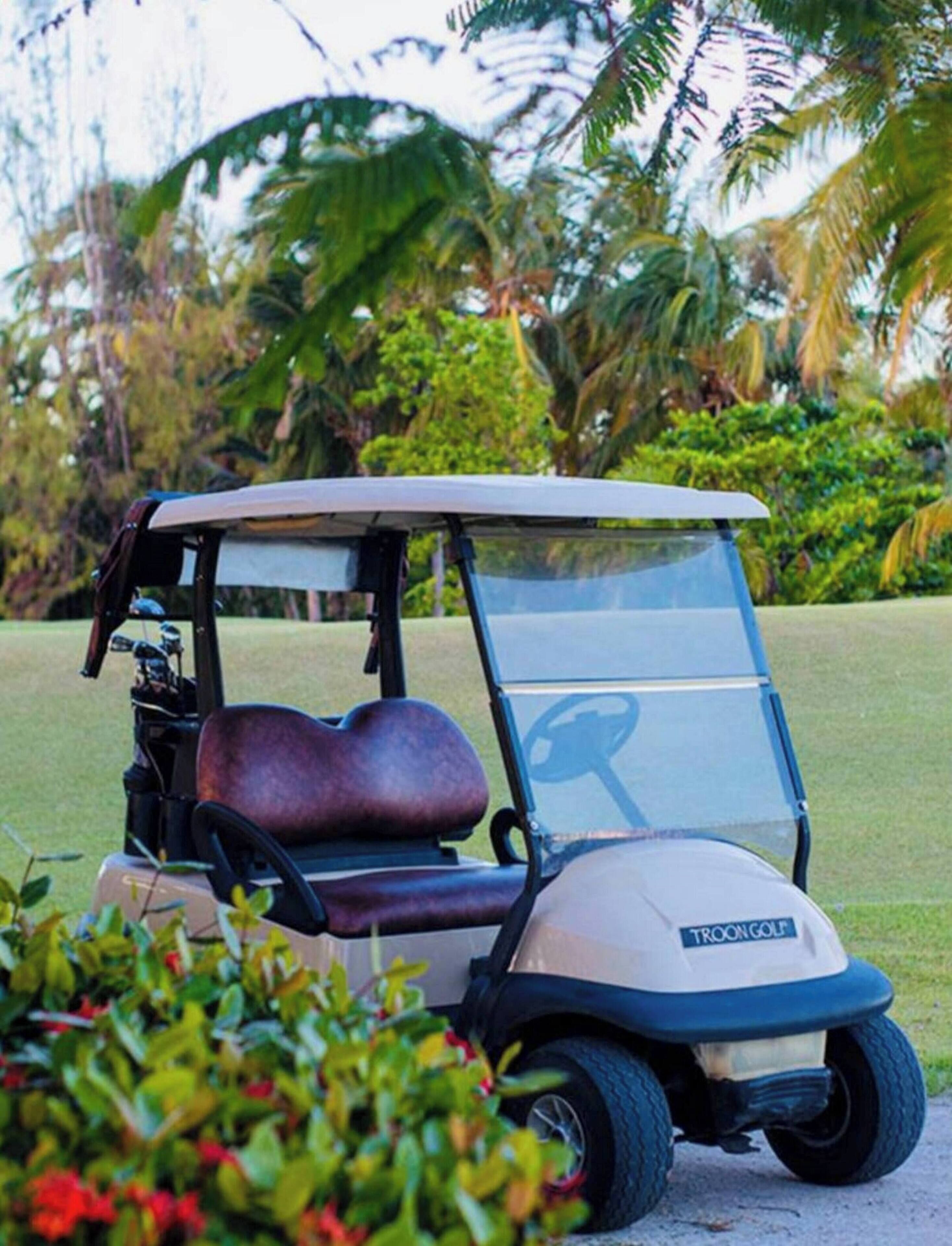 Un carrito de golf estacionado en un área cubierta de césped, con palmeras y arbustos al fondo.