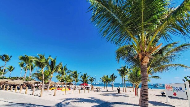 A beach with palm trees, a wooden walkway, and a sign for Bibijagua. - GLOBALSTAY Cocotal Condo in Punta Cana (Punta Cana)
