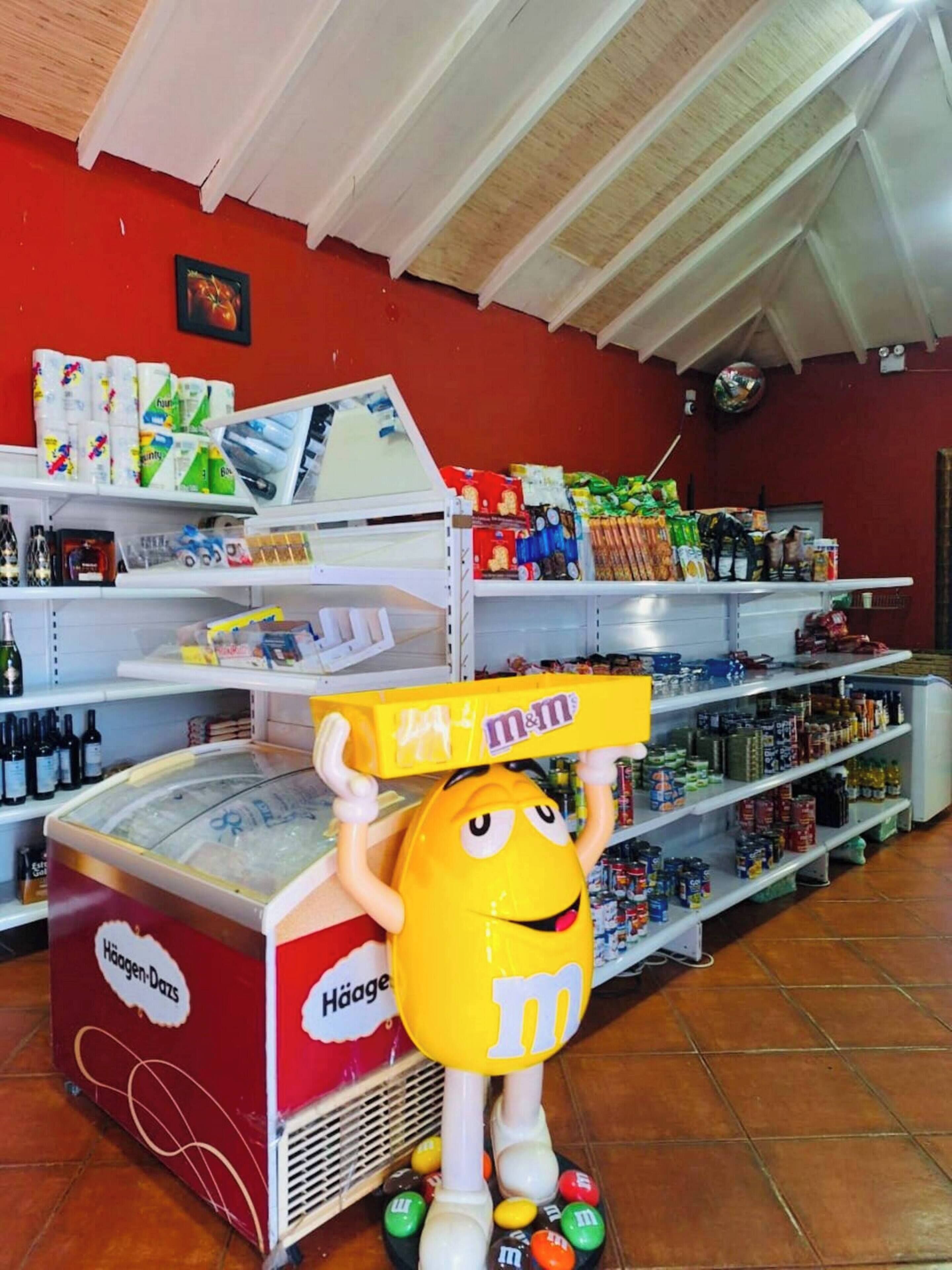 A store interior with shelves stocked with various products, a freezer, and a character holding a box.