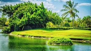 A golf course with a water body, lush greenery, and palm trees. - GLOBALSTAY Cocotal Condo in Punta Cana (Punta Cana)