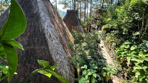 Thatched-roof huts in a forested area with a narrow path leading through the vegetation. - Sagada Heritage Village (Sagada)