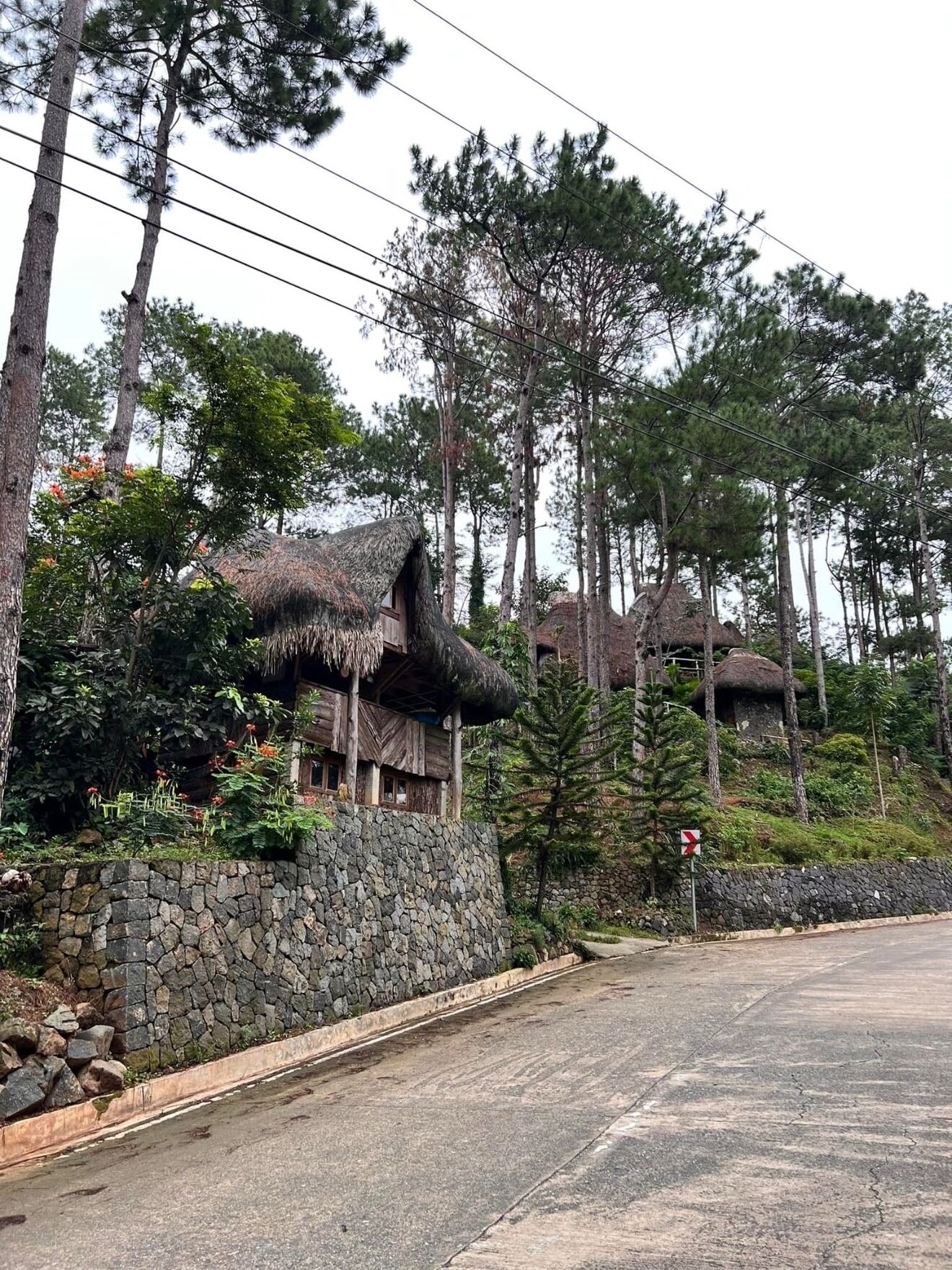 A thatched-roof building with a stone wall in a forested area.