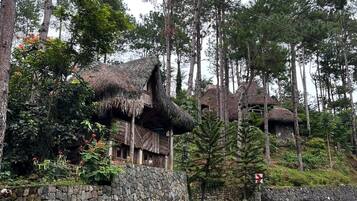 A thatched-roof building with a stone wall in a forested area.