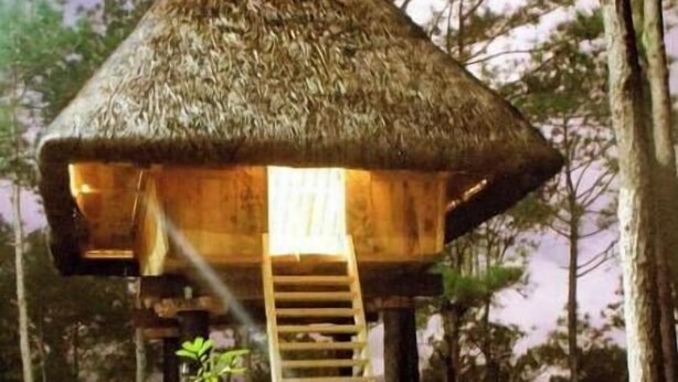 A thatched-roof hut with a wooden staircase leading up to a platform. - Sagada Heritage Village (Sagada)
