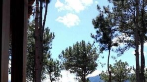 A forested area with a clear view of a mountain in the distance. - Sagada Heritage Village (Sagada)