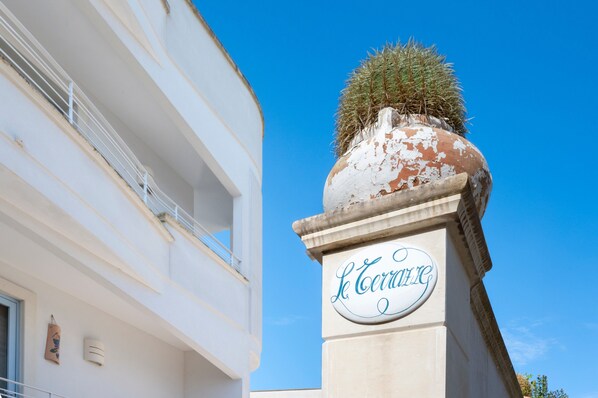 A building with a balcony, a sign with the name 'Le Terrasse,' and a cactus on top.