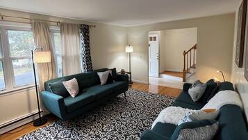 TV connectée, cheminée, livres, médiathèque