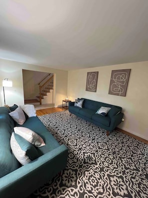 Smart-TV, Kamin, Bücher, Musikbibliothek