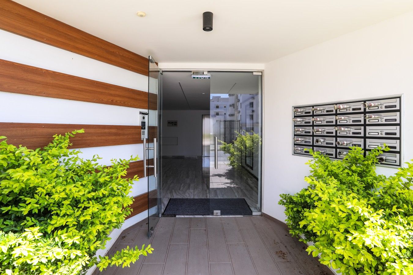 A modern entrance with a glass door, a mail slot on the wall, and green plants on either side.