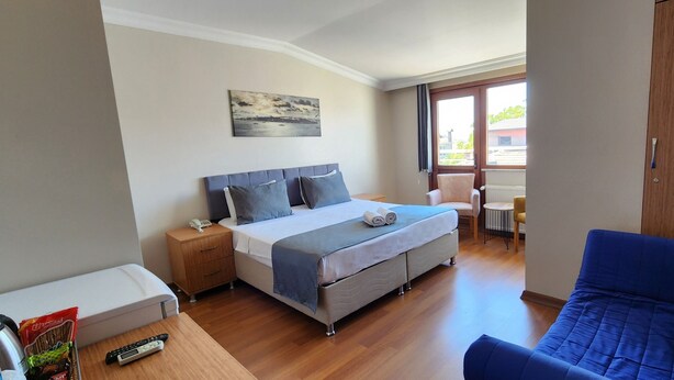 Standard Double Room, Balcony, Garden View | Living area - My World Hotel (Istanbul)