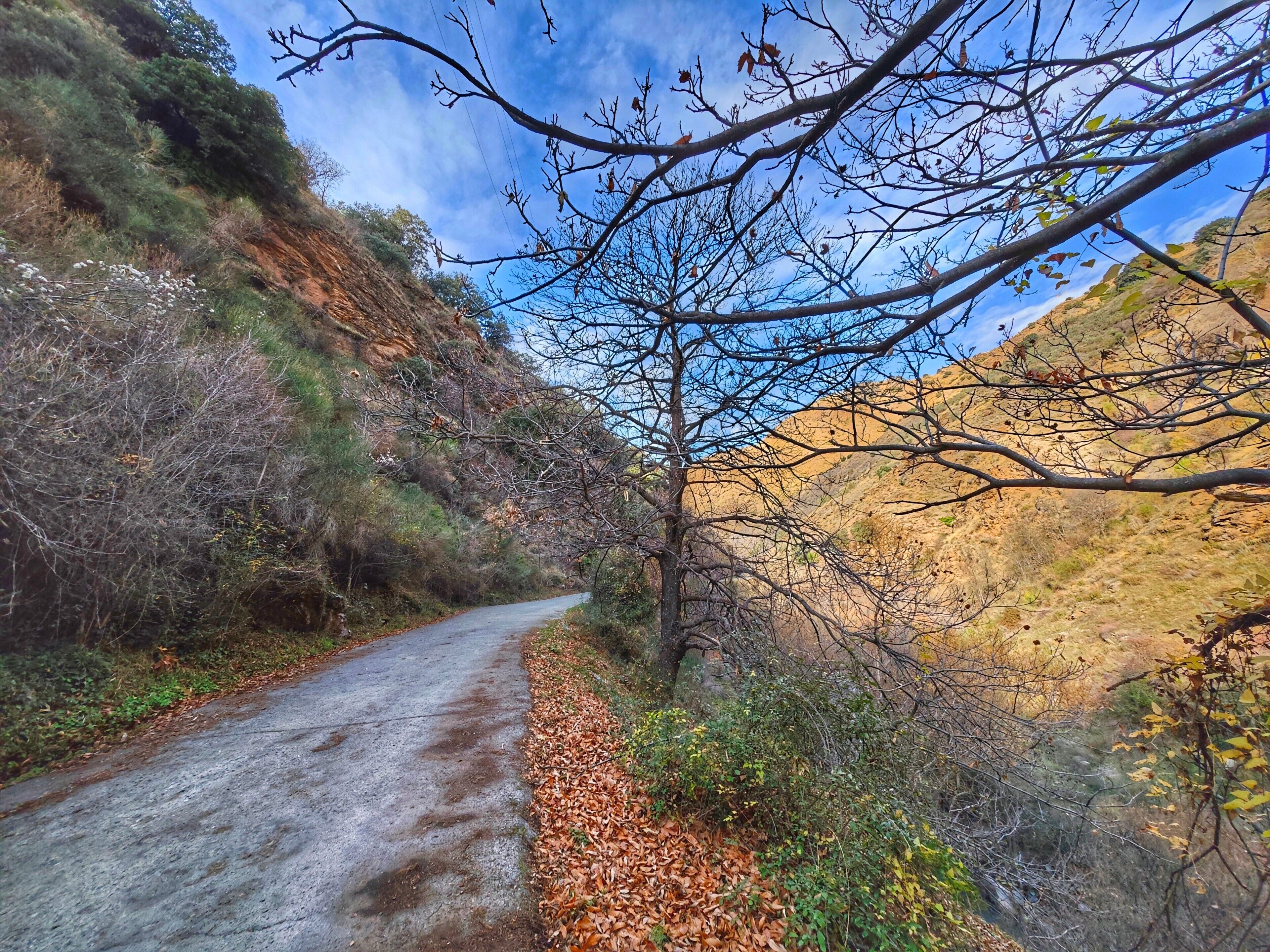 A narrow, winding road flanked by dry vegetation and hills.