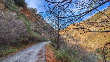 A narrow, winding road flanked by dry vegetation and hills.