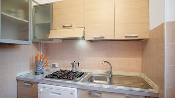 Fridge, microwave, stovetop, dishwasher