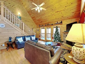 Televisión, chimenea, videojuegos y reproductor de DVD 