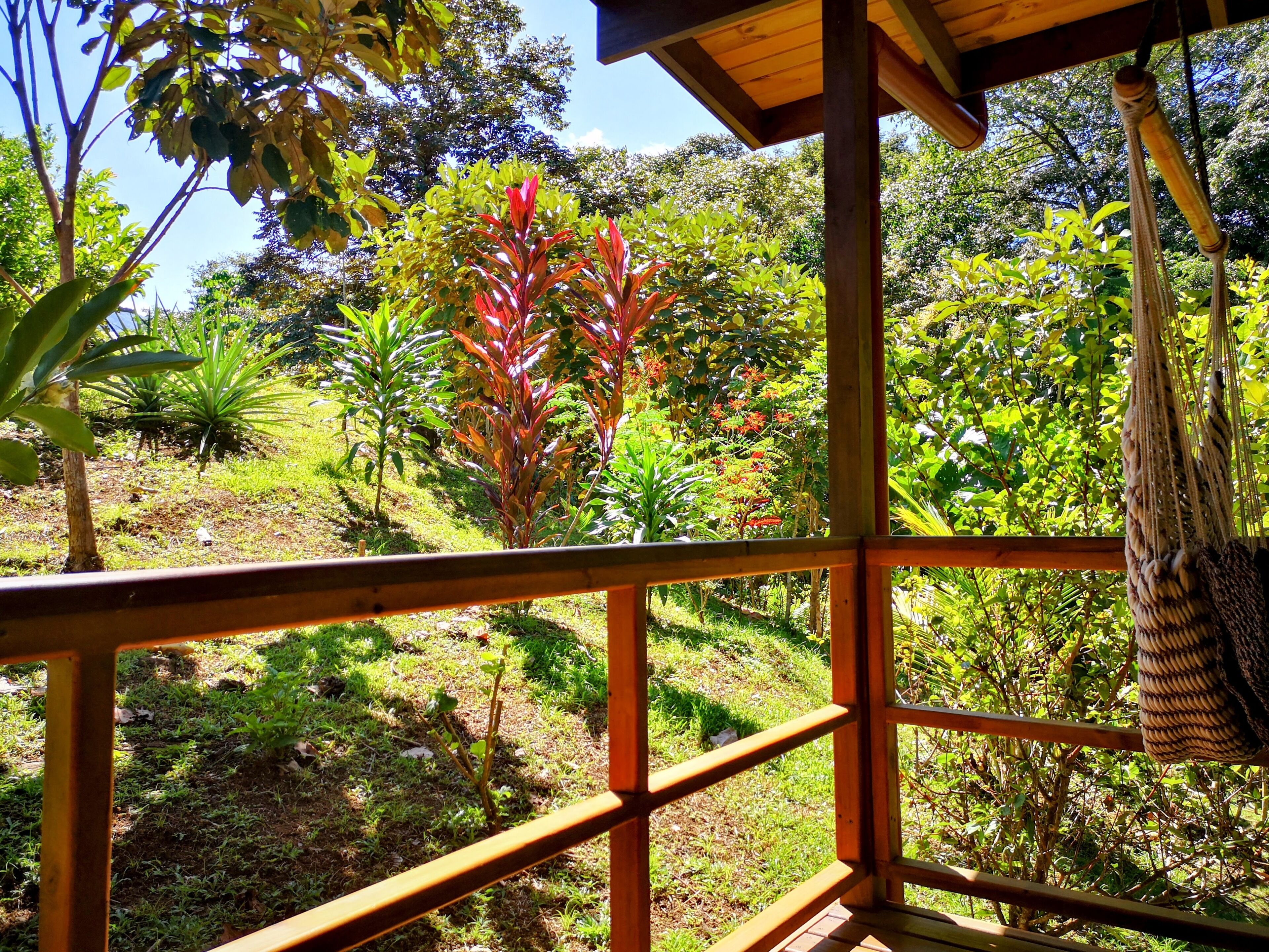 A wooden deck with a view of a lush garden.