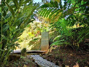 Property grounds - Thoas Lodge  (Ciudad Cortés)