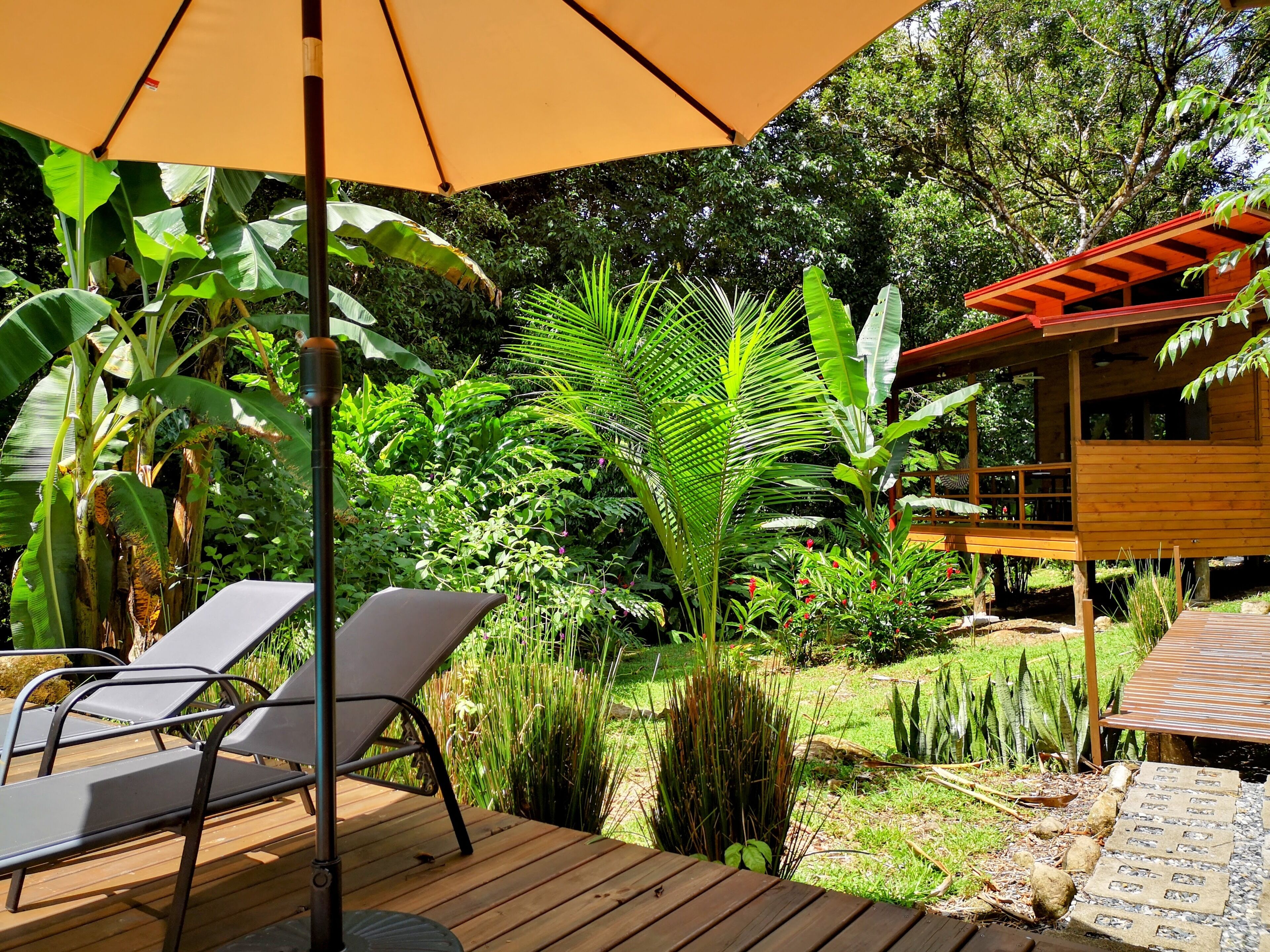 Um deck de madeira com espreguiçadeiras e um grande guarda-sol, rodeado por vegetação tropical exuberante e uma estrutura de madeira.
