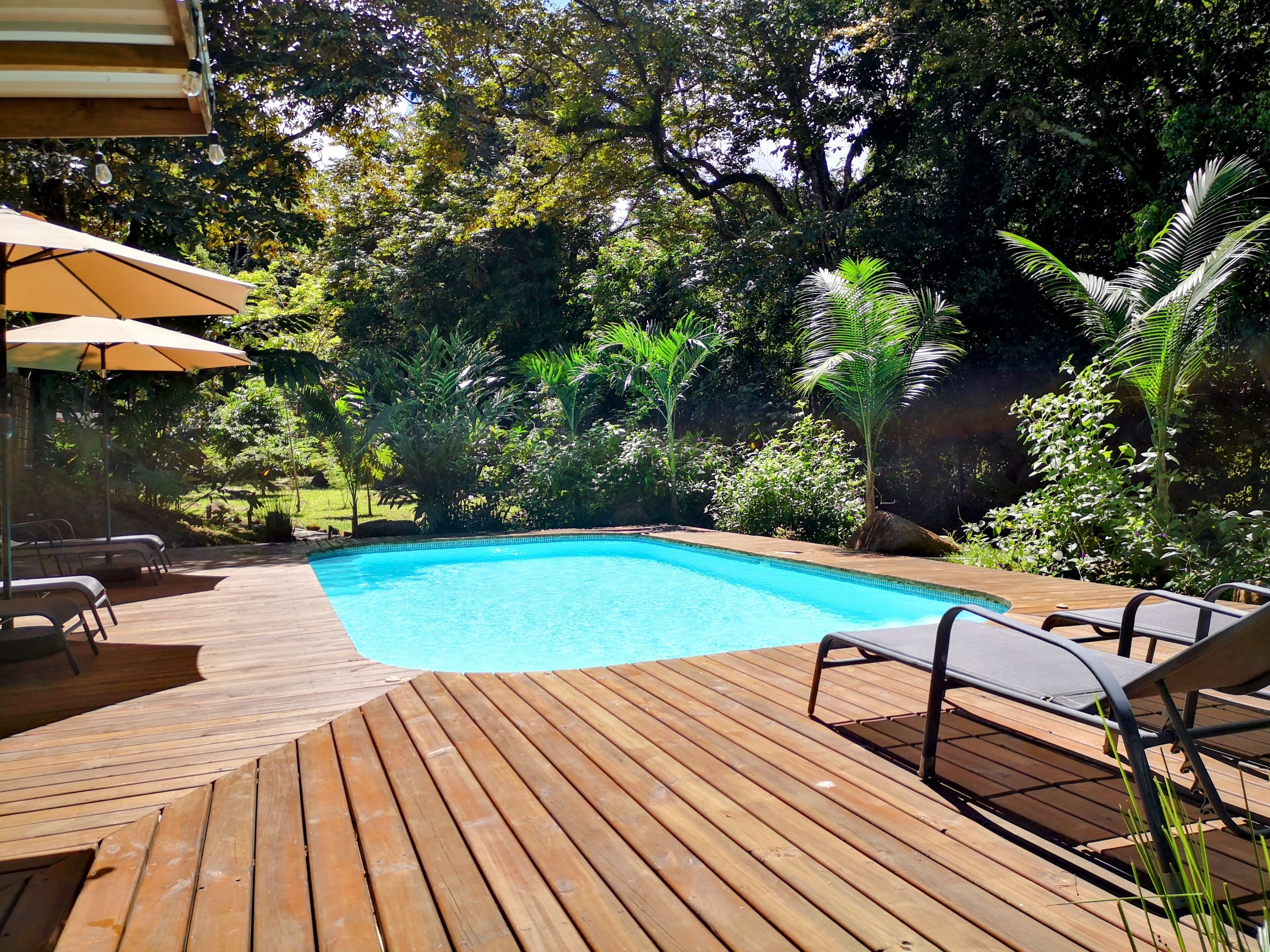 A wooden deck with a swimming pool, surrounded by lush greenery and trees.