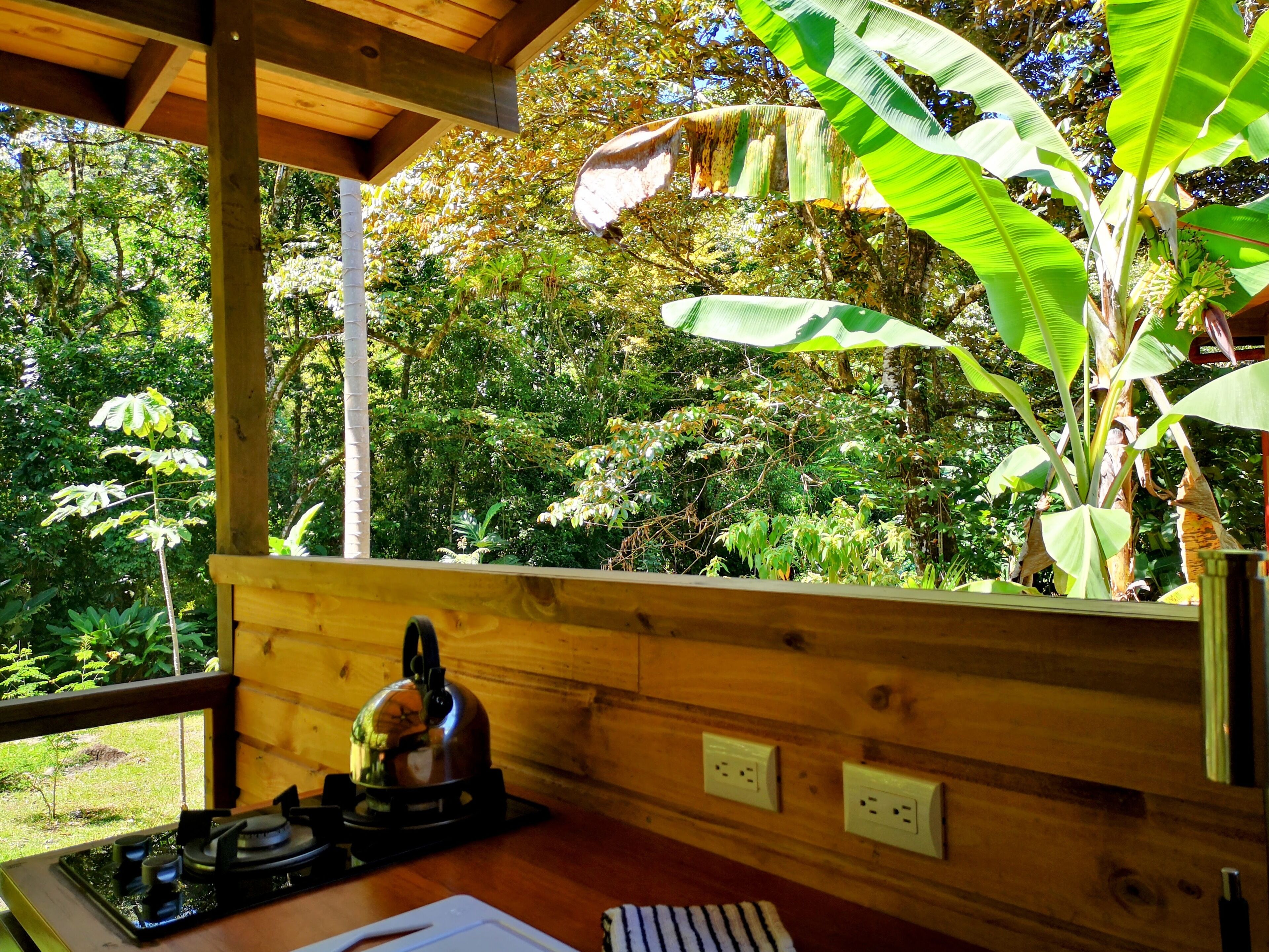 Cottage Supérieur, 1 grand lit et 1 canapé-lit, vue fleuve | Enceinte de l’hébergement
