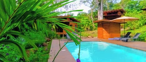 Outdoor pool, pool umbrellas, sun loungers