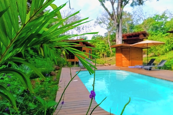 Outdoor pool, pool umbrellas, sun loungers