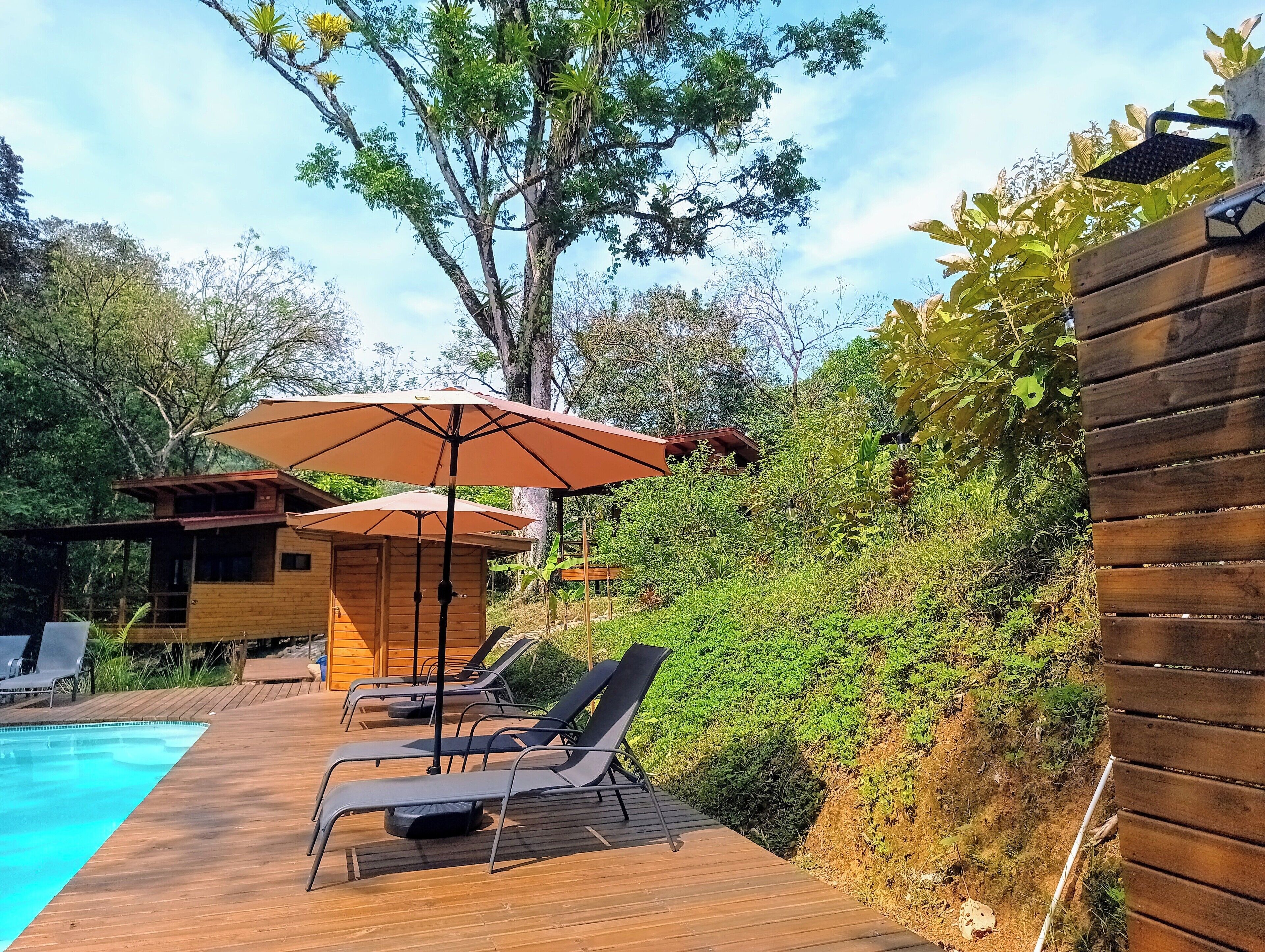 Outdoor pool, pool umbrellas, sun loungers