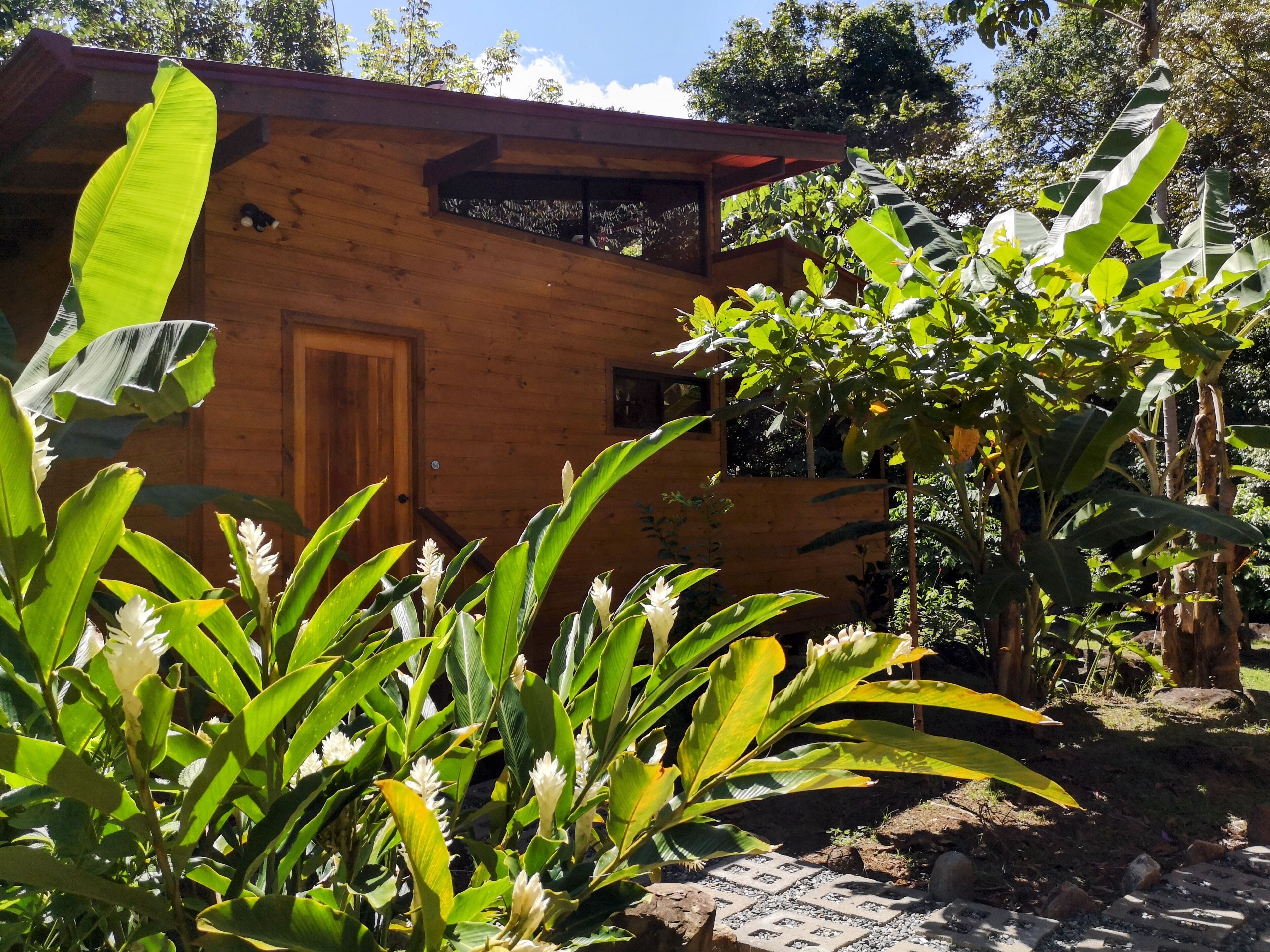 A wooden cabin with a door, surrounded by lush greenery and trees.