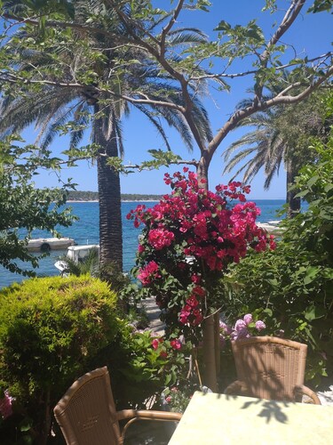 Room with breakfast and boat mooring