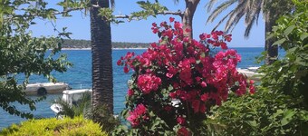 Room with breakfast and boat mooring