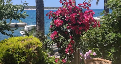 Room with breakfast and boat mooring
