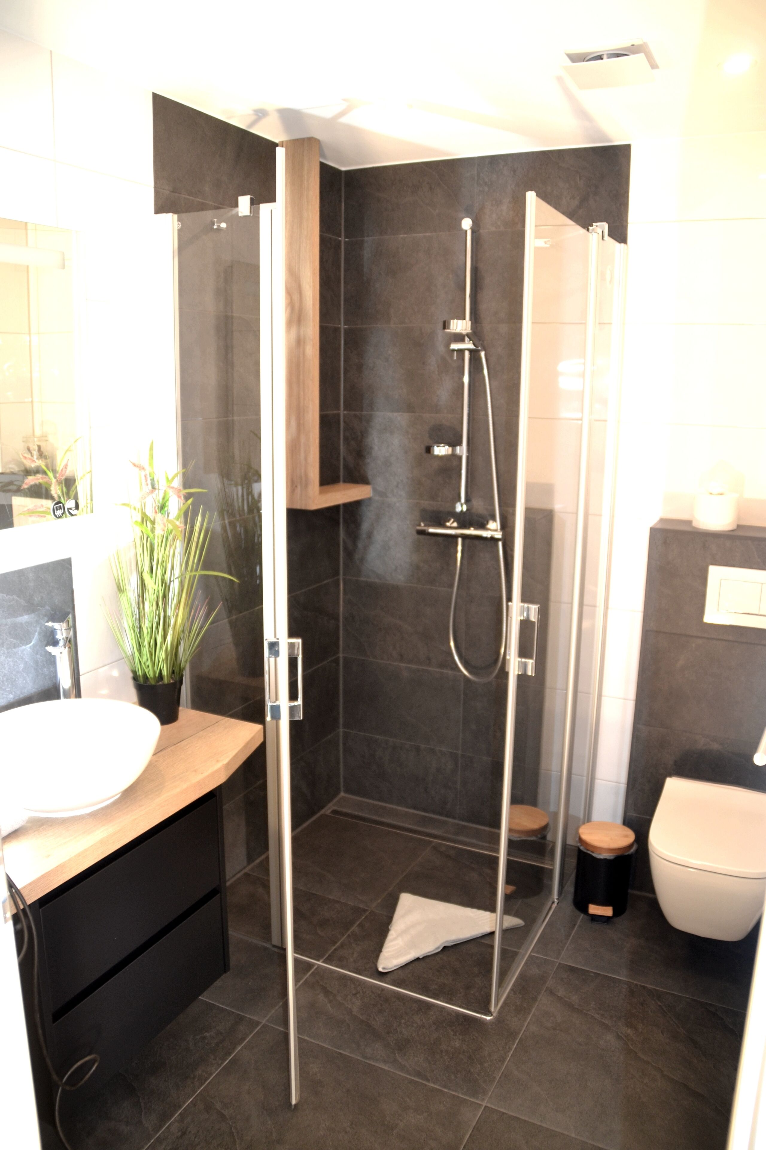 Shower, hair dryer, soap, toilet paper