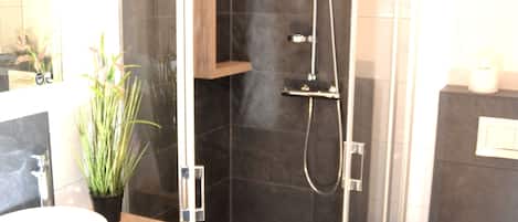 Shower, hair dryer, soap, toilet paper