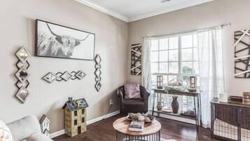 Télévision, cheminée, lecteur de DVD, table de tennis de table