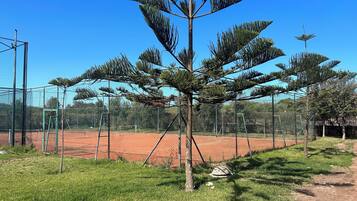 Un terrain de tennis entouré d’une clôture en treillis métallique, avec un petit arbre et une zone herbeuse.