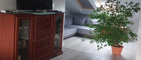A living room with a wooden cabinet, a television, a grey sofa, and a potted plant.