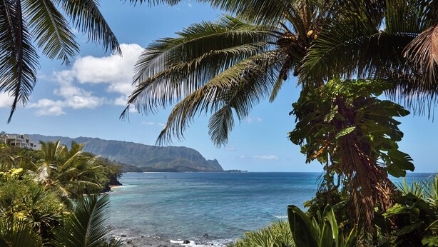 A tropical beach with palm trees, a clear blue sea, and a mountain in the background.