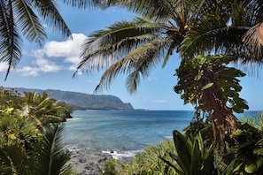 Ein tropischer Strand mit Palmen, blauem Meer und einem Berg im Hintergrund.