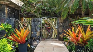 Un jardín tropical con un muro de piedra, un camino empedrado y diversas plantas tropicales.
