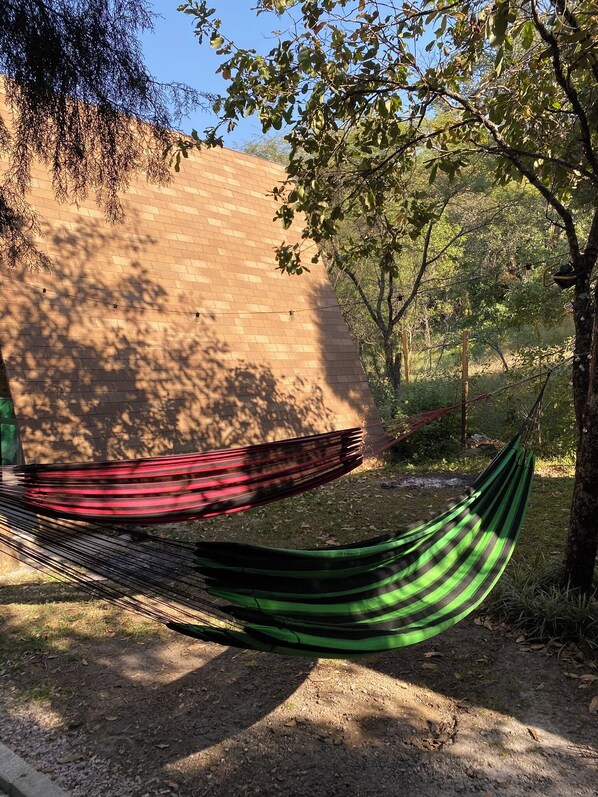 Una hamaca atada entre árboles en un espacio exterior sombreado, con un muro de ladrillo al fondo.