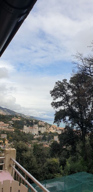 A balcony with a view of a coastal town, including buildings and trees.