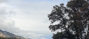 Nature corner in Menton. Serenity and comfort at the gateway to the city.