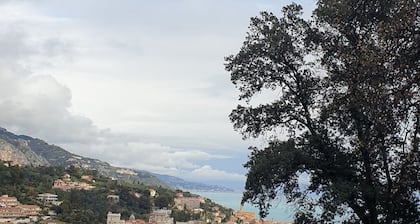 Coin nature à Menton. Sérénité et confort aux portes de la ville.