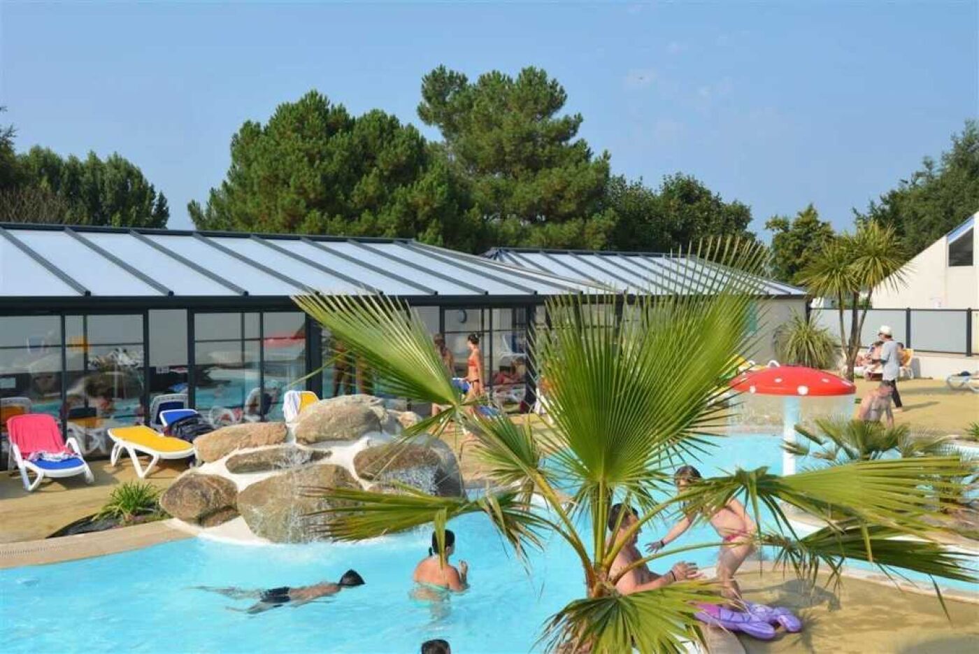 A swimming pool area with lounge chairs, a glass-enclosed structure, and palm trees.