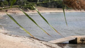 A beach with a wooden pier extending into calm waters, surrounded by greenery and trees.