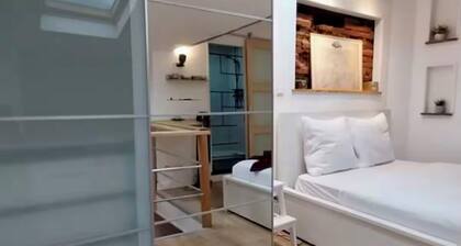 Charming duplex apartment in the heart of Toulouse
