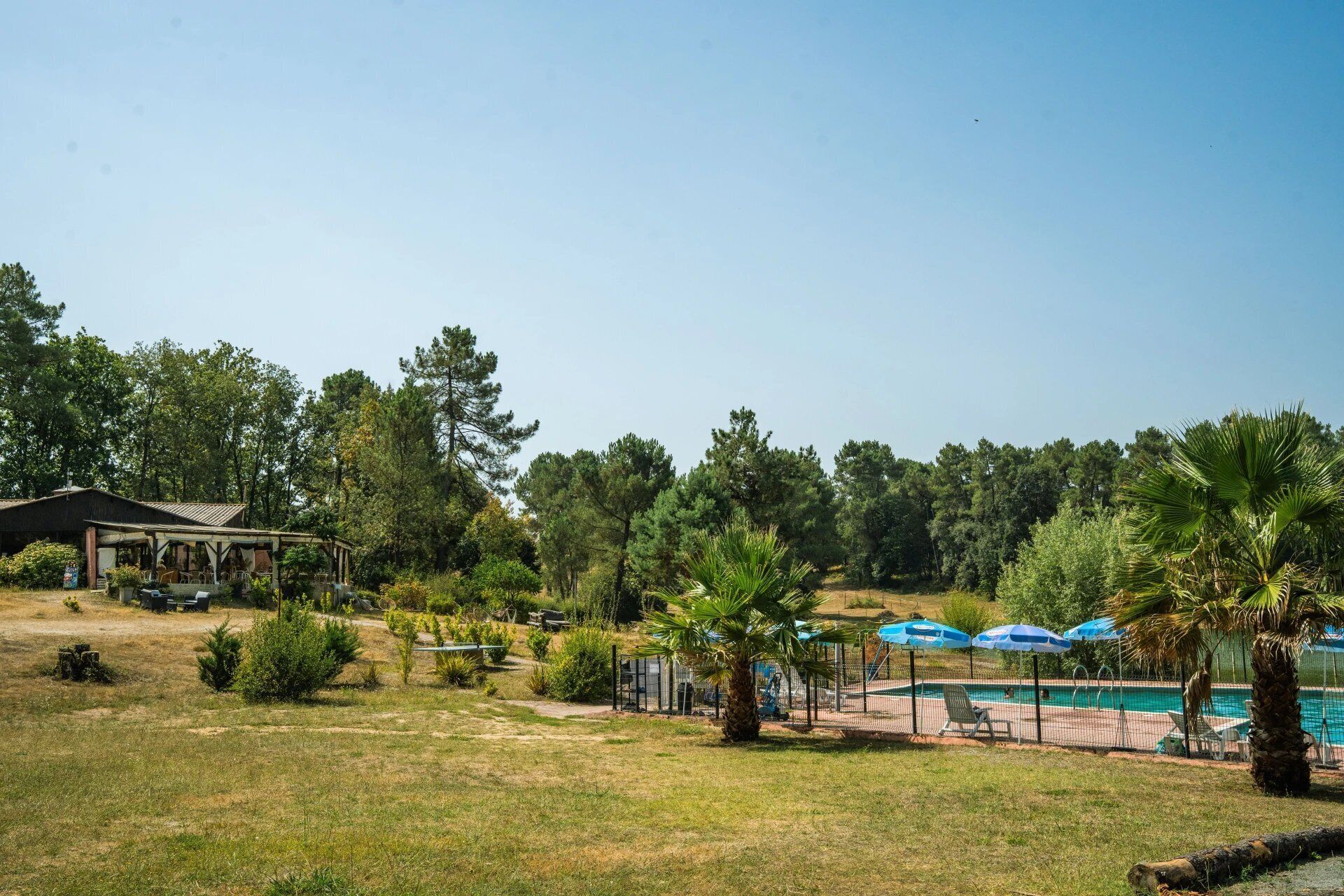 Piscine