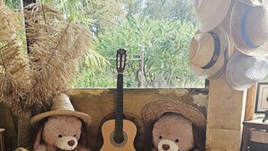 Dos osos de peluche sentados en un banco de madera, con una guitarra entre ellos, rodeados de paja y un montón de flores secas.